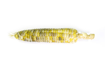 Boiled waxy corn on white background