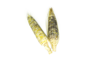 Boiled waxy corn on white background