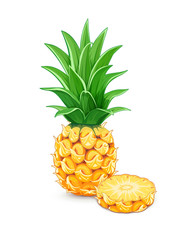 Pineapple with green leaf. Tropical fruit. Exotic vegetarian