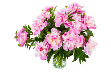 Big bouquet of pink peonies in a transparent vase,  isolated,  white background