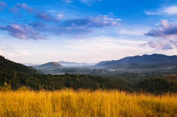 Fototapeta na wymiar Golden grass field and morning scene of Ranong, Thailand