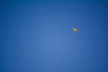 Color Kite over blue sky without clouds, background