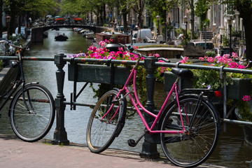 Fototapeta na wymiar Pink bicycle and flowers on the Bloemgracht, Amsterdam, Netherlands