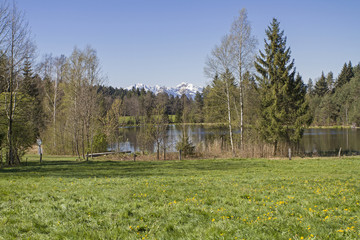 Buchner Weiher bei Bad Tölz