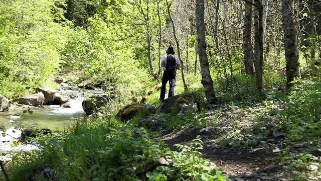 Camminata nel bosco a fianco di un fiume