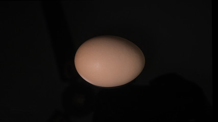 Egg isolated on Black background