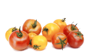 tomatoes on white background