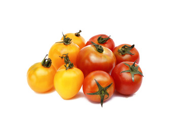 tomatoes on white background