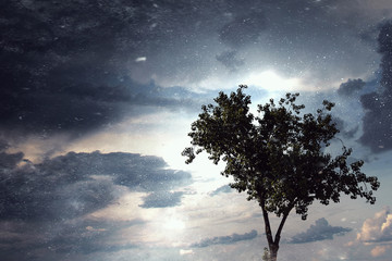 Alone tree and gray sky. Mixed media