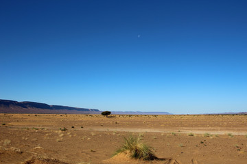 Horizon montagne désert Maroc