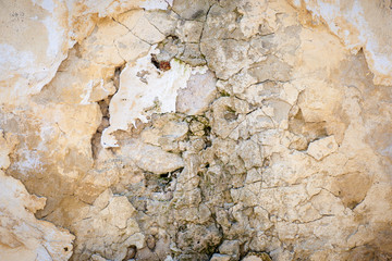 Texture