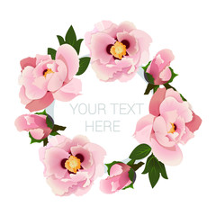 Fototapeta na wymiar Postcard (invitation) pink peony flowers