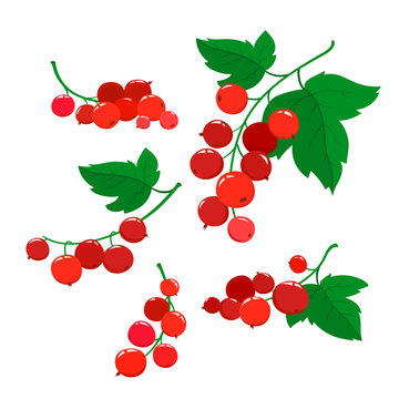Set of cartoon red currant berries with green leaves on a isolated white background. Bright berries and berries branch.