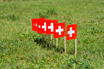 Schweizer Fahnen im Gras