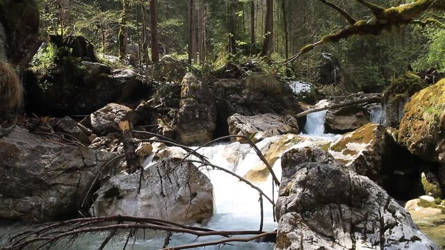 Water flowing in a small river in a tranquil setting, Bavaria, Germany