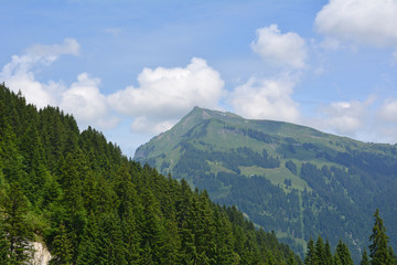 Obraz premium Diedamskopf (2090m), Bregenzerwald