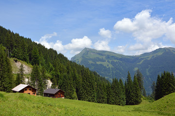 Fototapeta na wymiar Bodenvorsäss mit Diedamskopf (2090m), Bregenzerwald