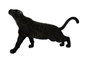 Obraz premium 3D Rendering Black Panther on White