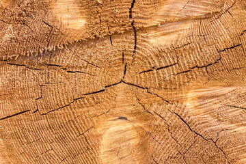Fototapeta premium Texture wooden background