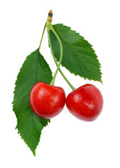 Berries of red cherry with leaves on white background