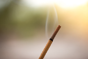 Brenndes R&auml;ucherst&auml;bchen, Sonnenlicht