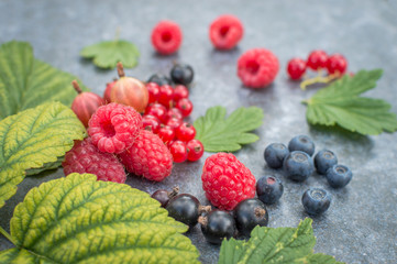 Raspberry raspberries blueberries gooseberries