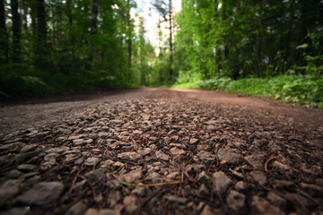 Fototapeta premium Road in the forest selective focus