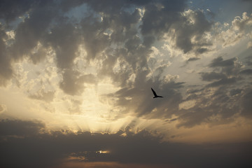 Sunset and clouds
