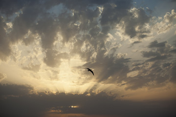 Sunset and clouds

