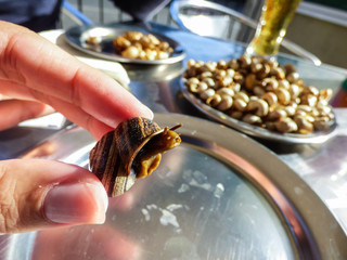 Hand holding a cooked snail - plate with snails in the background