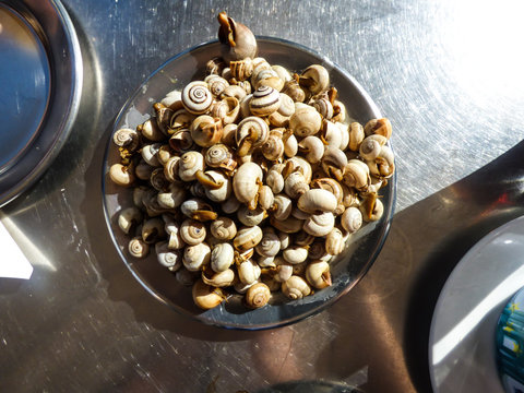 A plate with simple cooked snails