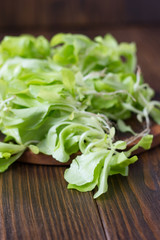 Green salad leaves