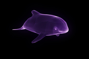 Orca in Hologram Wireframe Style. Nice 3D Rendering
