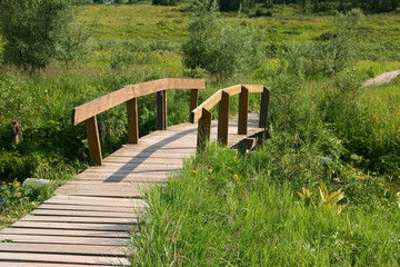 Wooden bridge over a mountain stream