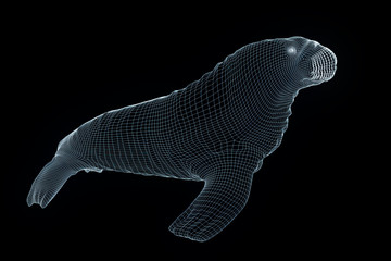 Walrus Seal in Hologram Wireframe Style. Nice 3D Rendering
