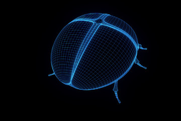 Skarapäus Beetle in Hologram Wireframe Style. Nice 3D Rendering
