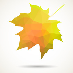 Triangular maple leaf