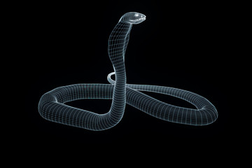 Snake in Hologram Wireframe Style. Nice 3D Rendering

