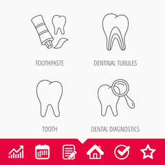 Tooth, dental diagnostics and toothpaste icons. Dentinal tubules linear sign. Edit document, Calendar and Graph chart signs. Star, Check and House web icons. Vector