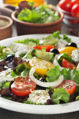 fresh greek salad in plate