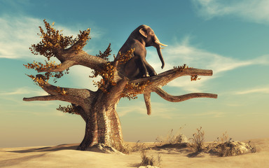 Elephant in a dry tree - obrazy, fototapety, plakaty