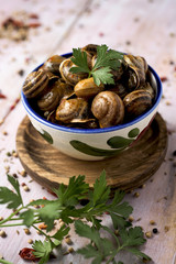 spanish caracoles en salsa, cooked snails in sauce