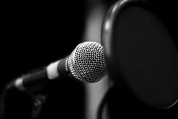 Vocal Recording Microhphone