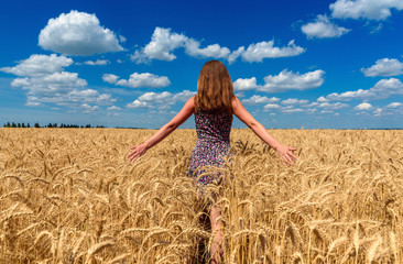 Naklejka na ściany i meble Back view of beautiful young woman walking in golden wheat field with cloudy blue sky background, free space. Liberty, peace of mind concept. Girl in spikes of ripe wheat field under blue sky