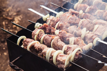 Raw shish kebab marinated grilled