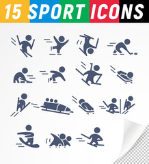 Vector collection of winter sport pictograms.