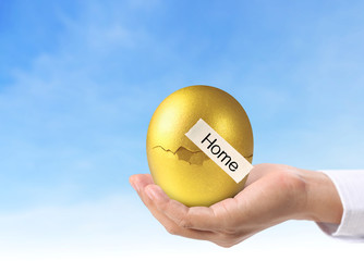  Holding Of Golden Eggs