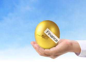  Holding Of Golden Eggs