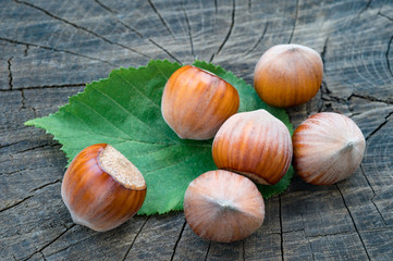 Filberts on a wooden Background. Close-up shot.