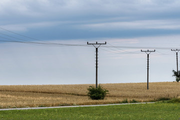 Columns with electric lines on the cornfield